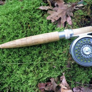 2013-08-17  7-foot Orvis MCL Seven-three #78363.JPG