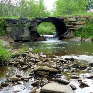 2010-06-02 WC 1.JPG