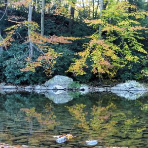 2010-10-07 Laurel Hill Creek 2.JPG