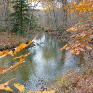 2011-10-22 Laurel Hill Creek 12.JPG