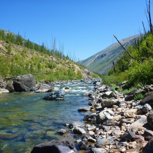 2015-08-07 101 NF Blackfoot River.JPG