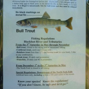 2015-08-07 94 NF Blackfoot River.JPG