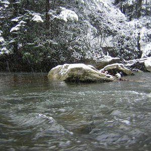 2009-12-05 Meadow Run 3.JPG