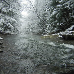 2009-12-05 Meadow Run 5.JPG