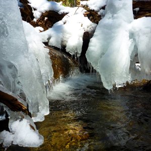 2013-03-09 NFBC 3.JPG