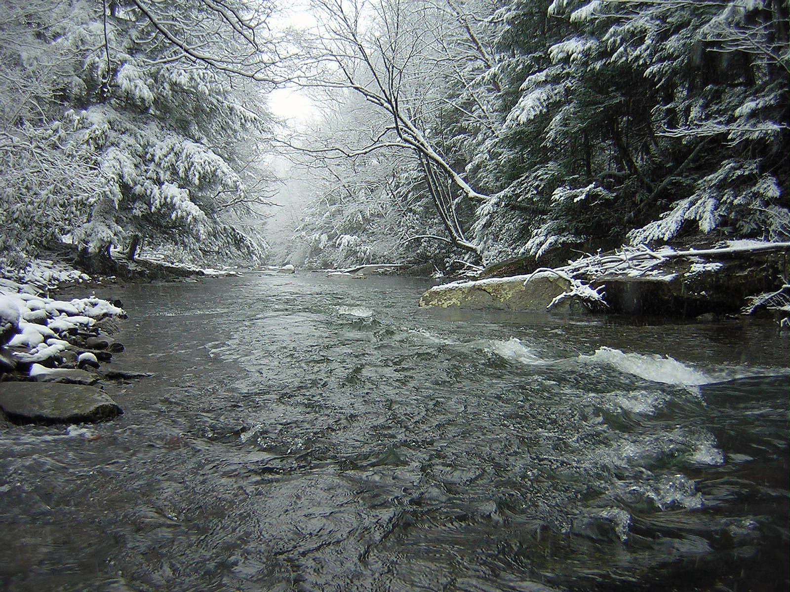 2009-12-05 Meadow Run 5.JPG