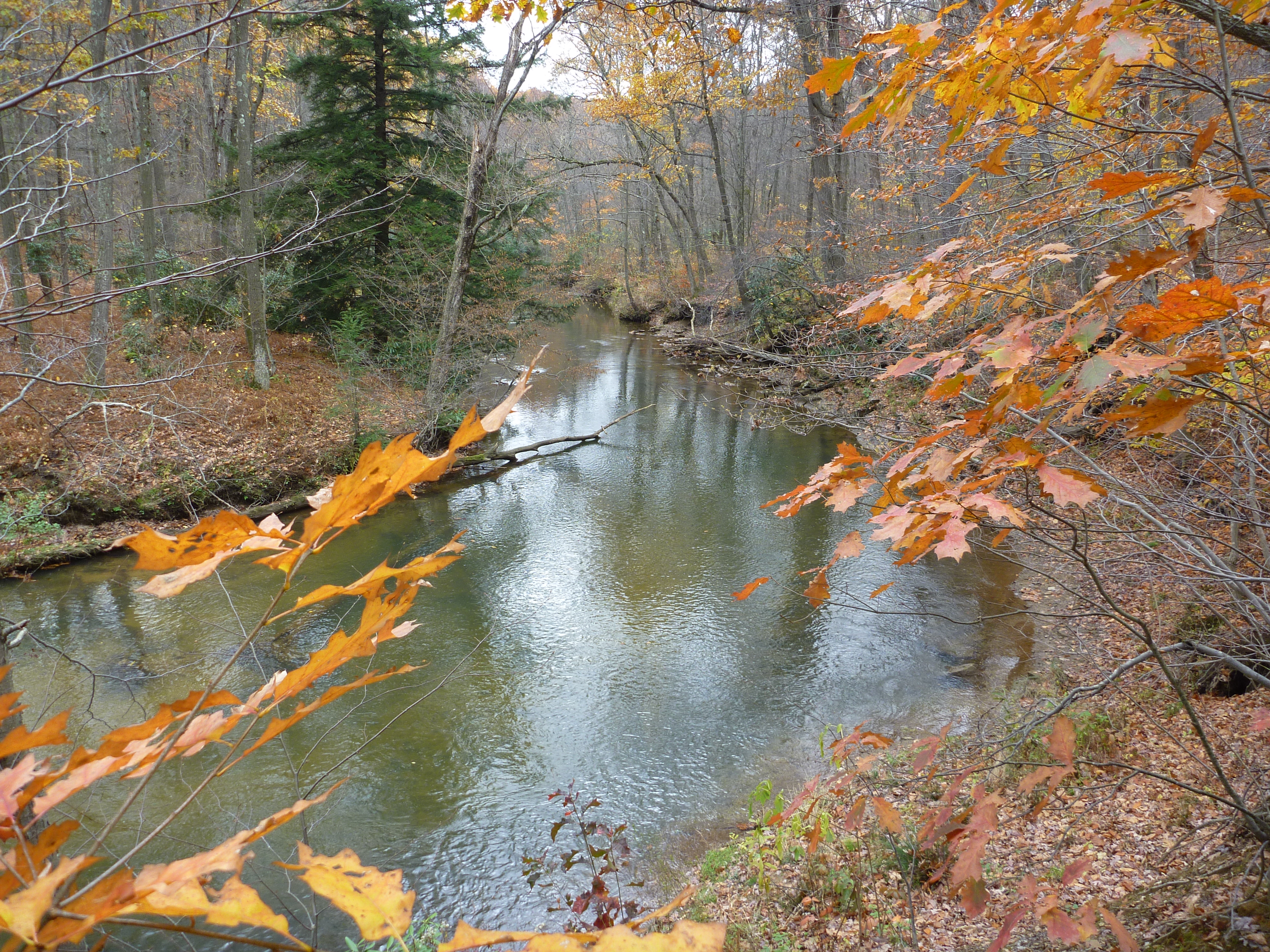 2011-10-22 Laurel Hill Creek 12.JPG