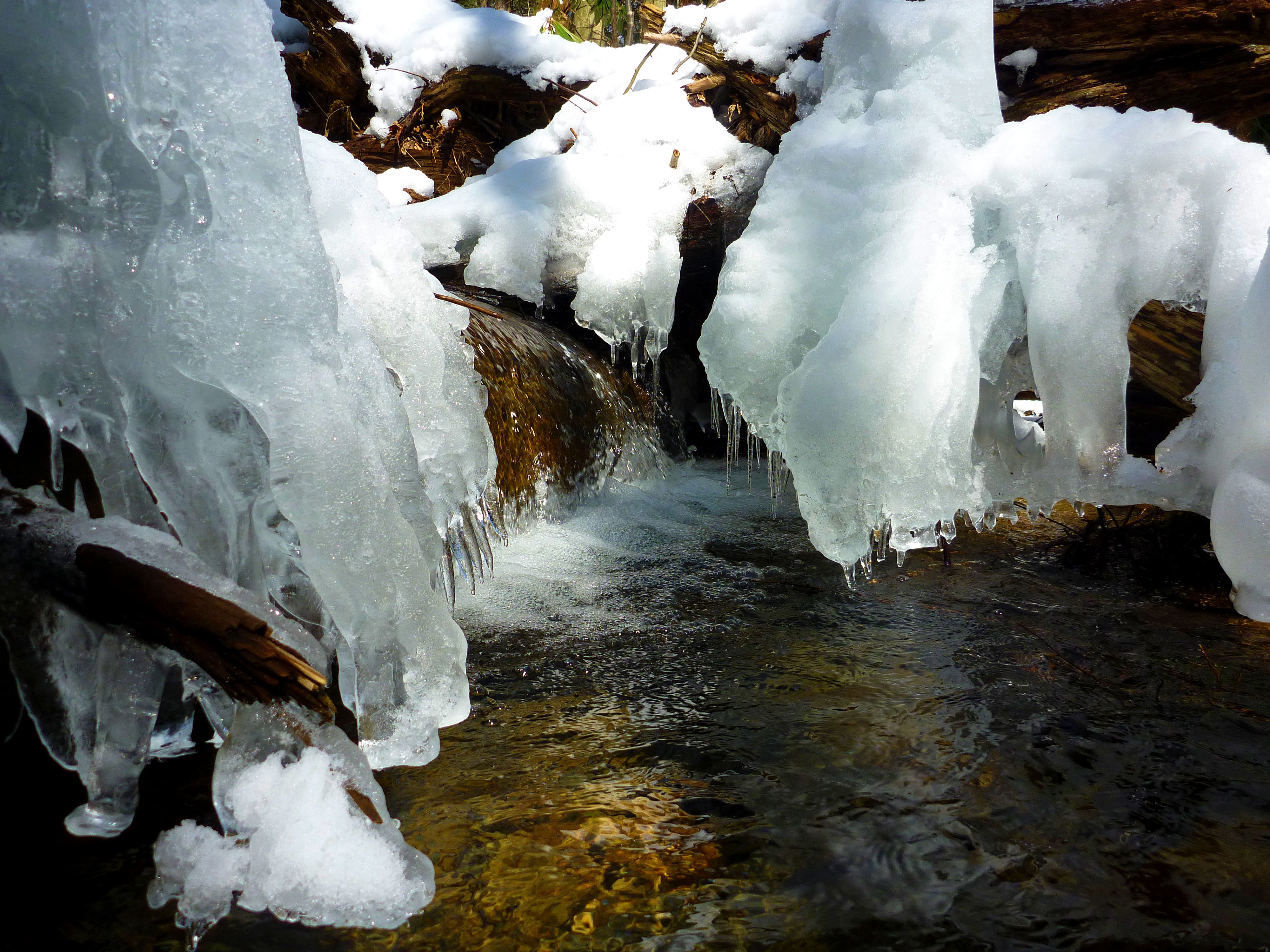 2013-03-09 NFBC 3.JPG