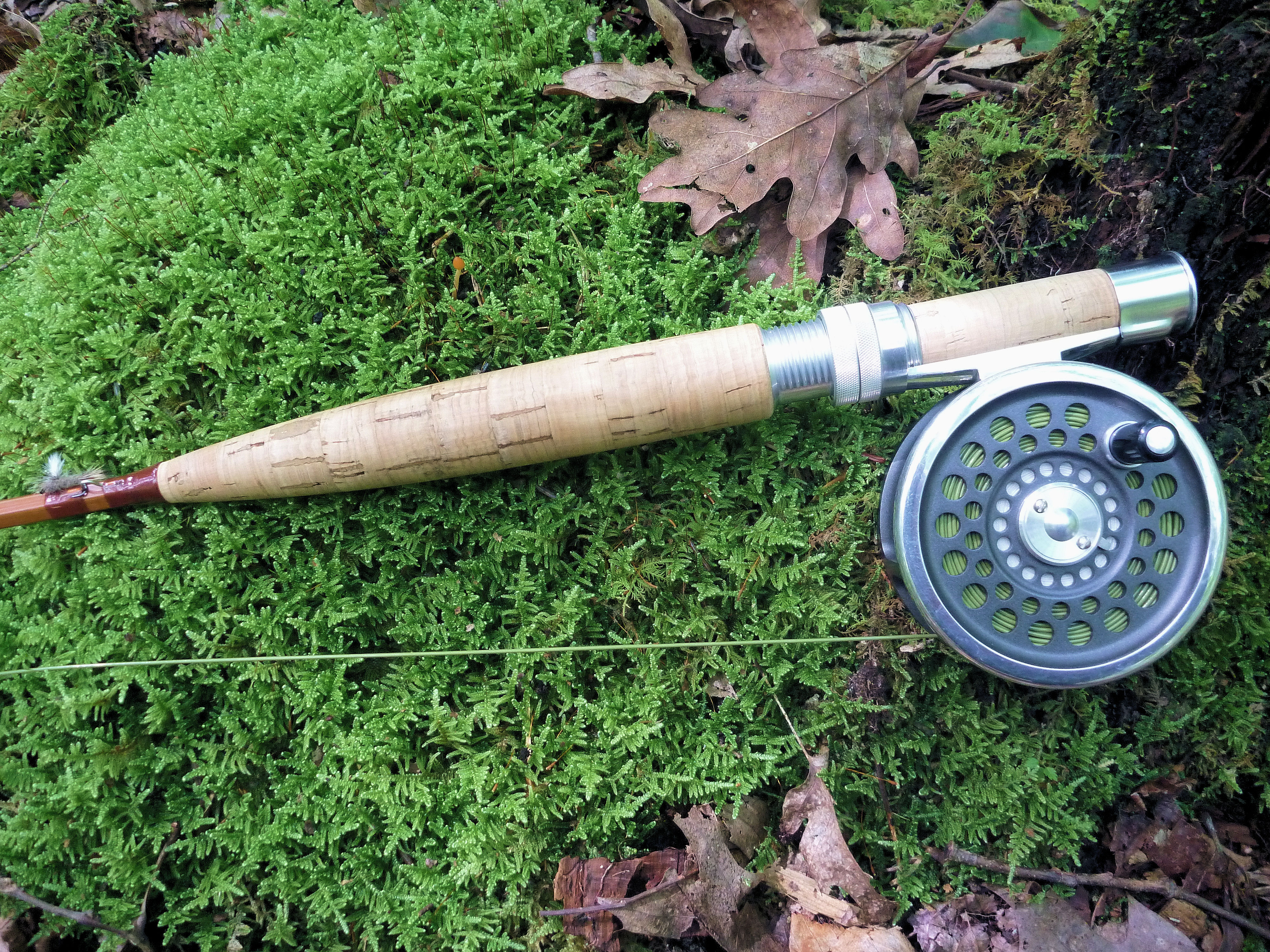 2013-08-17  7-foot Orvis MCL Seven-three #78363.JPG
