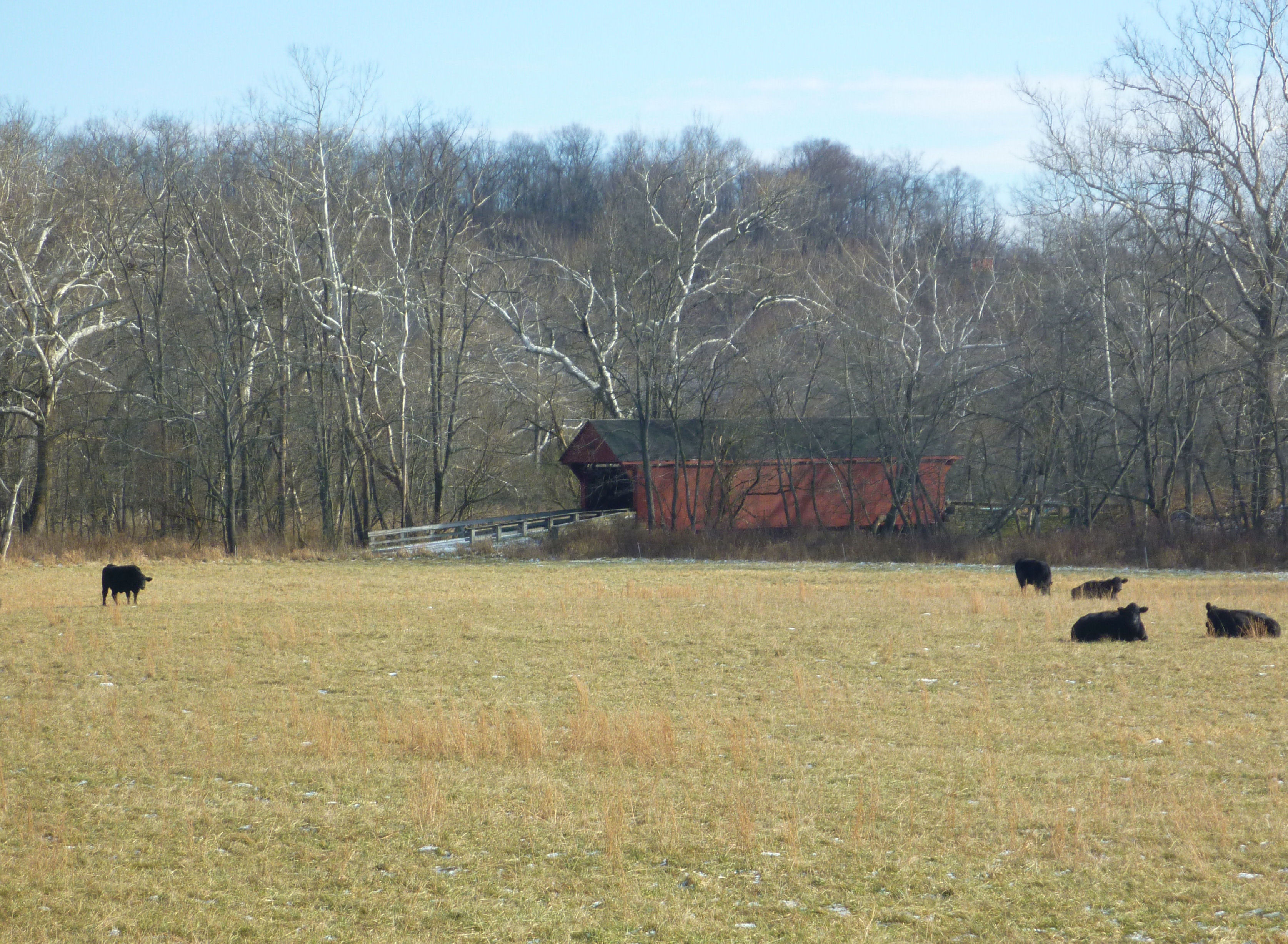 2013-11-25 Bailey Bridge (1889).JPG