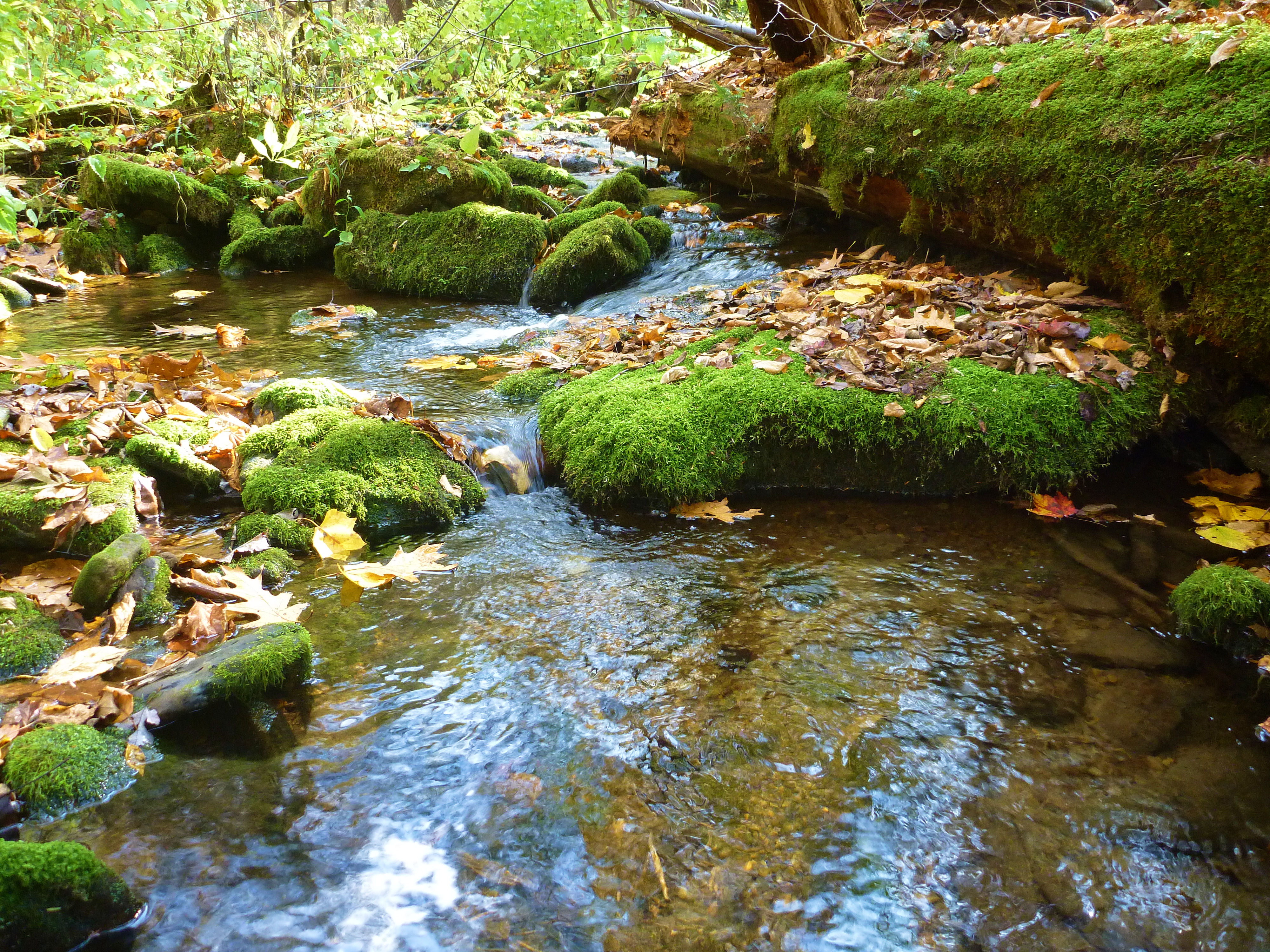2014-10-25 11 SF.JPG