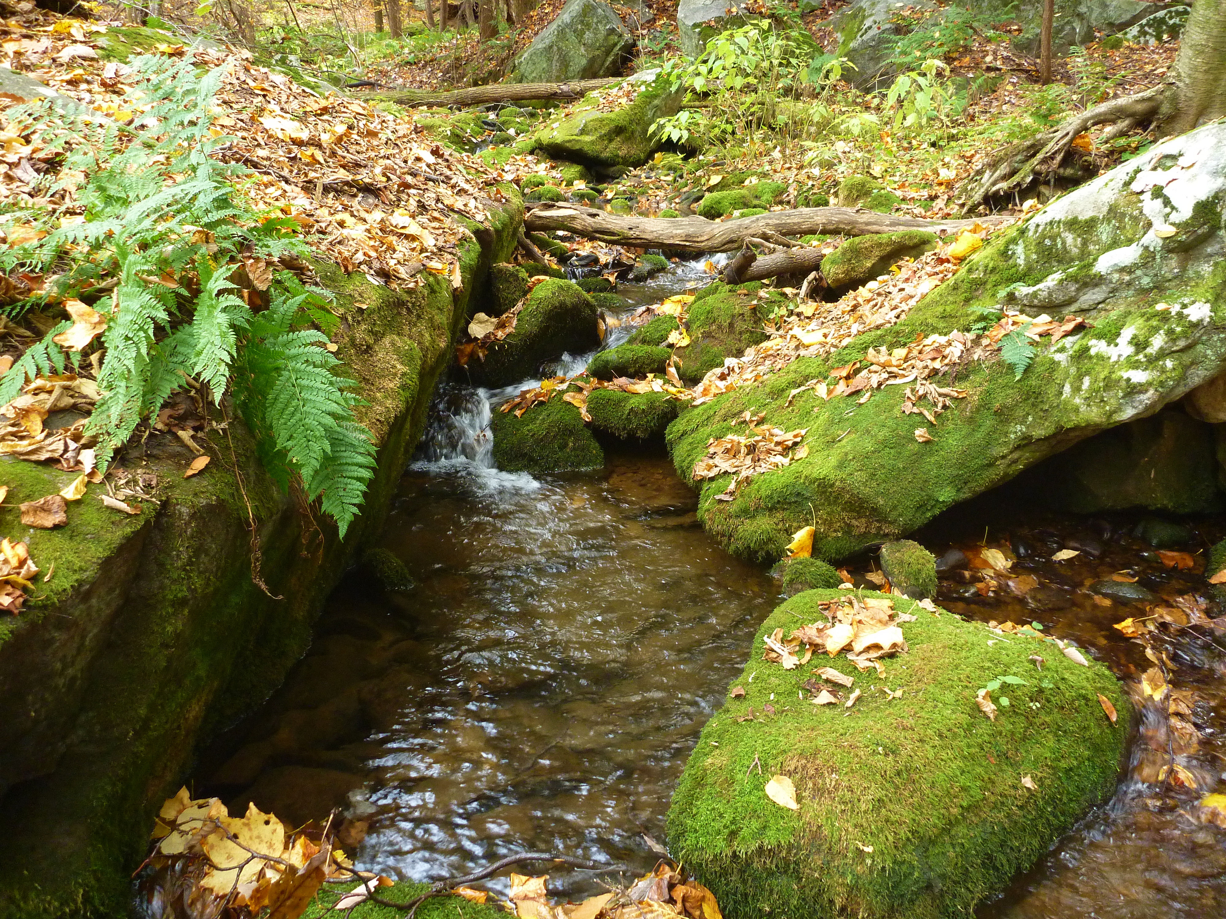 2014-10-25 9 SF.JPG