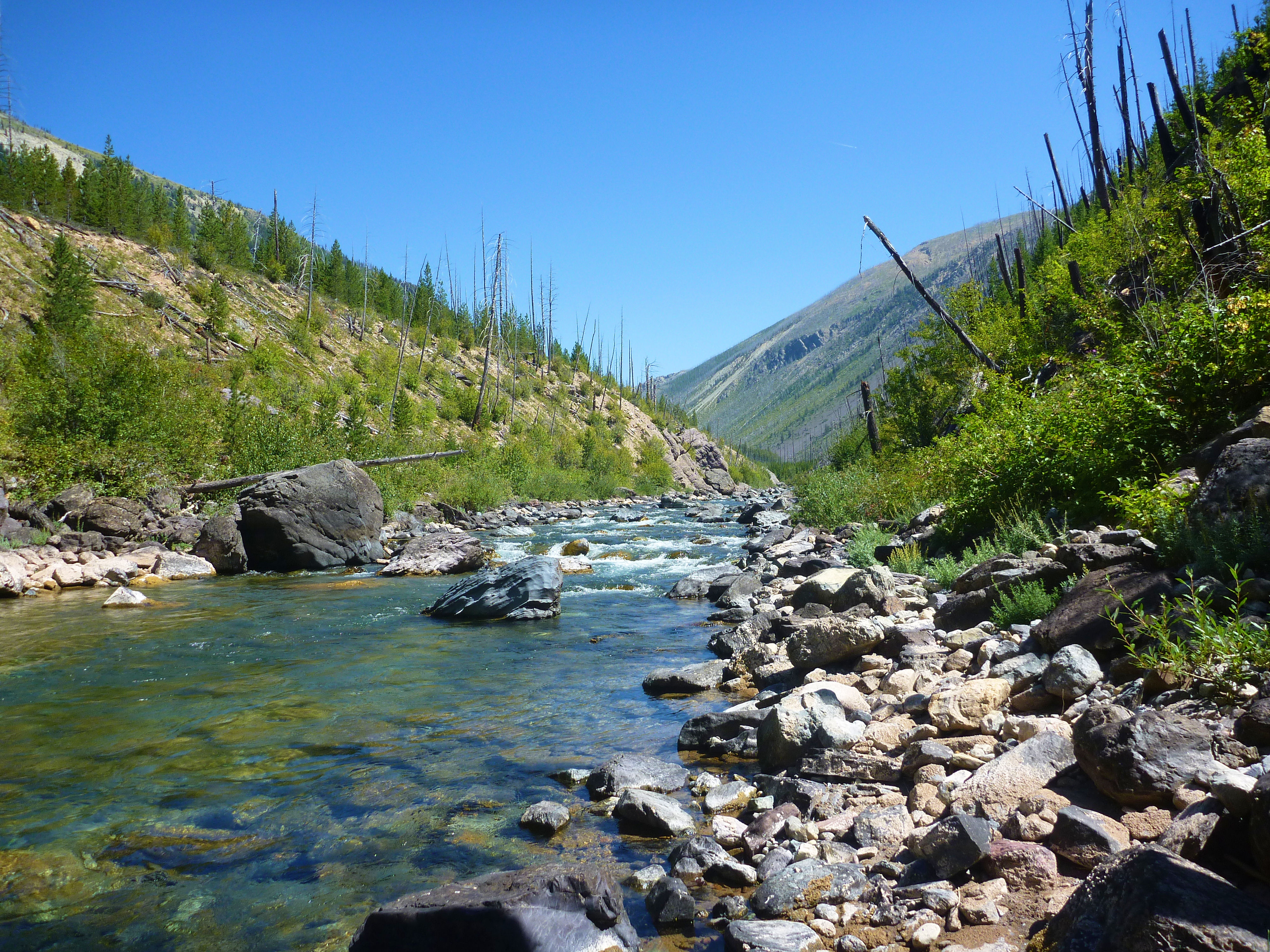 2015-08-07 101 NF Blackfoot River.JPG