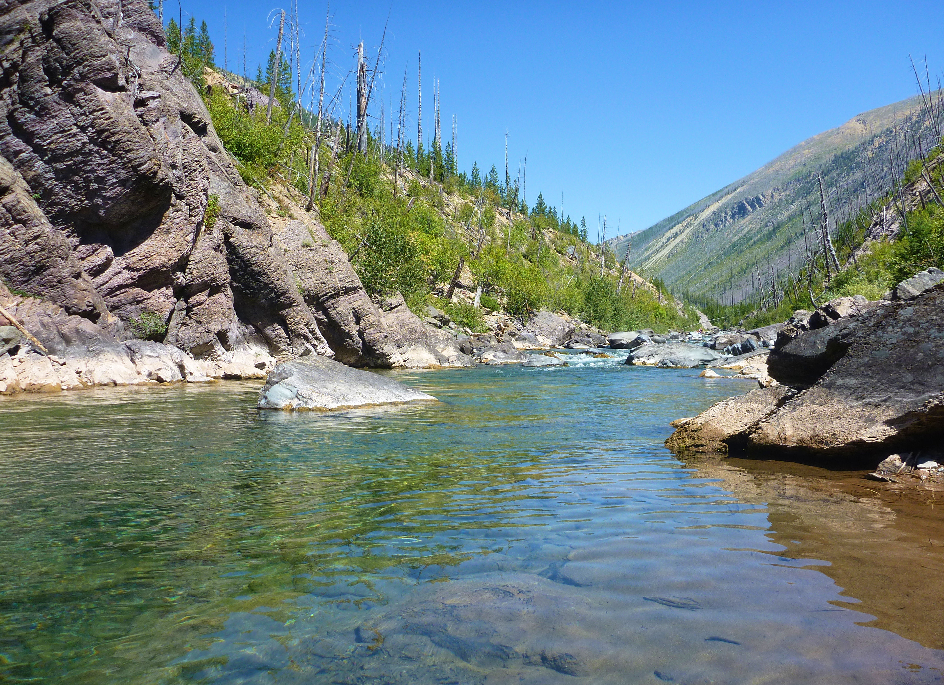 2015-08-07 103 NF Blackfoot River.JPG