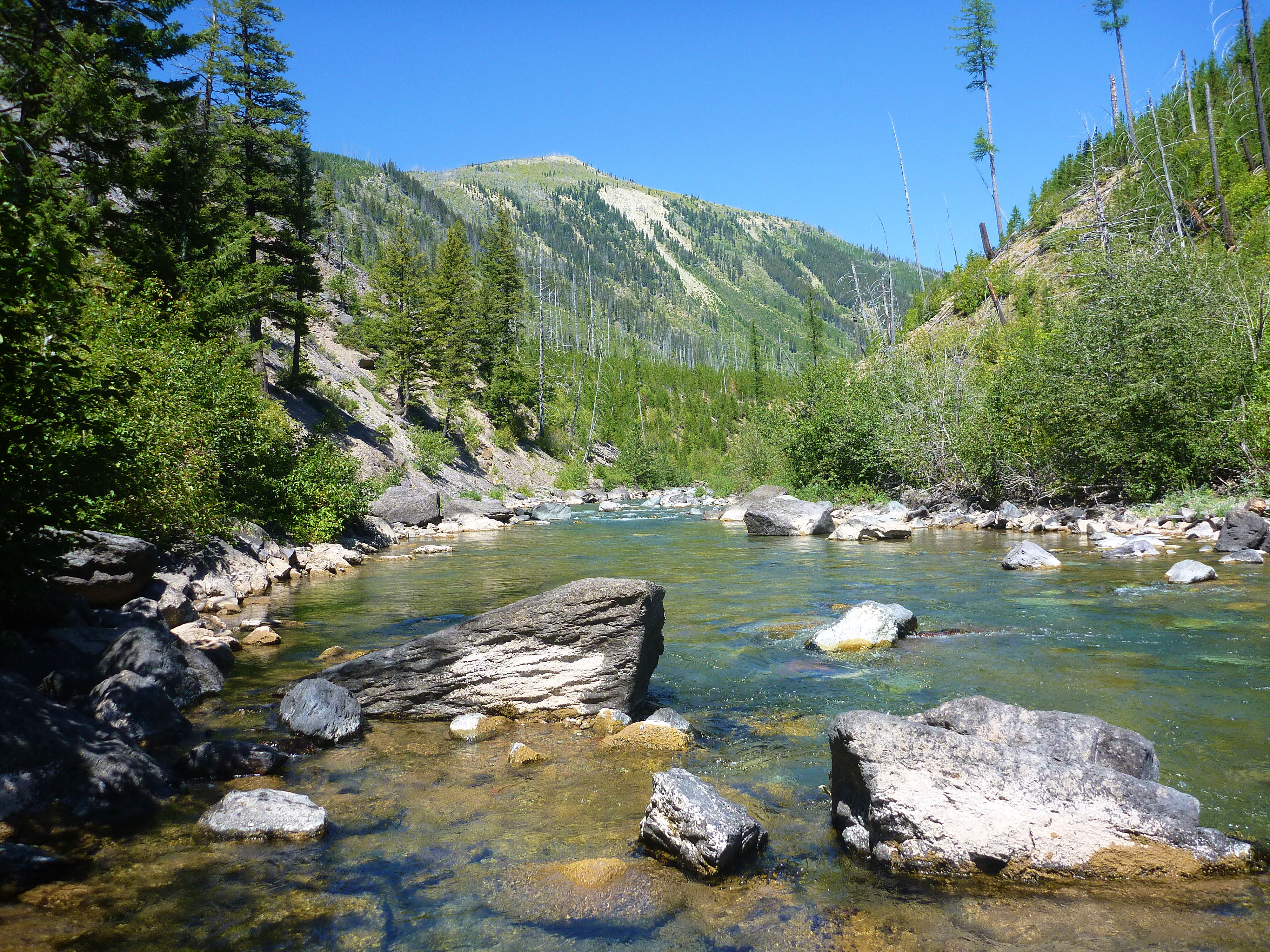 2015-08-07 104 NF Blackfoot River.JPG