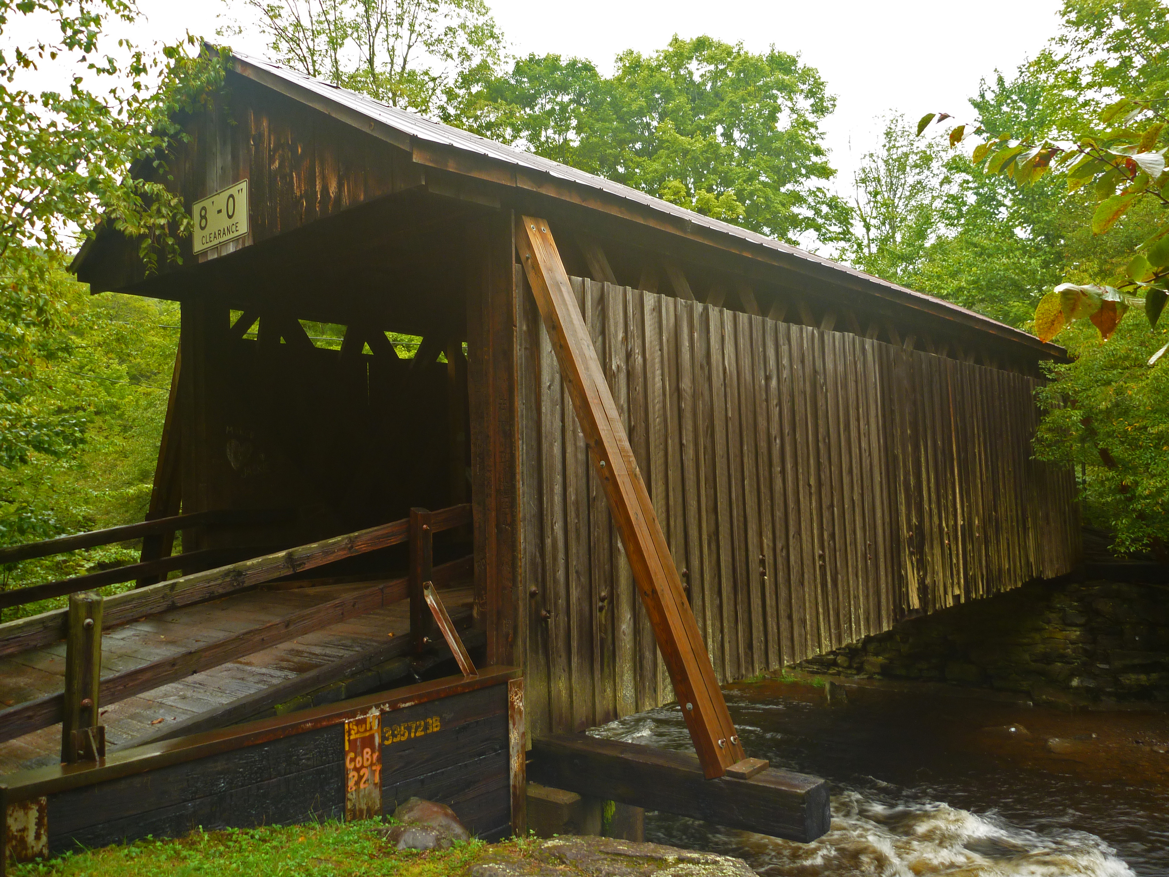 2018-09-10 Bendo Bridge, NY (1860).JPG