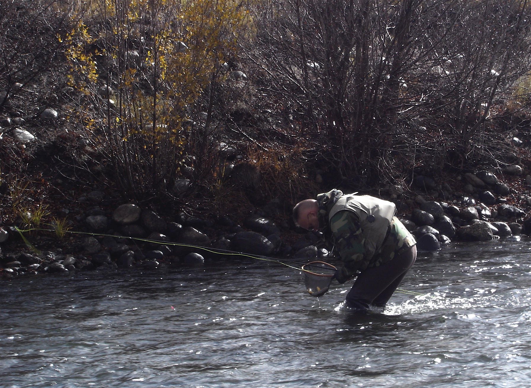 The Release